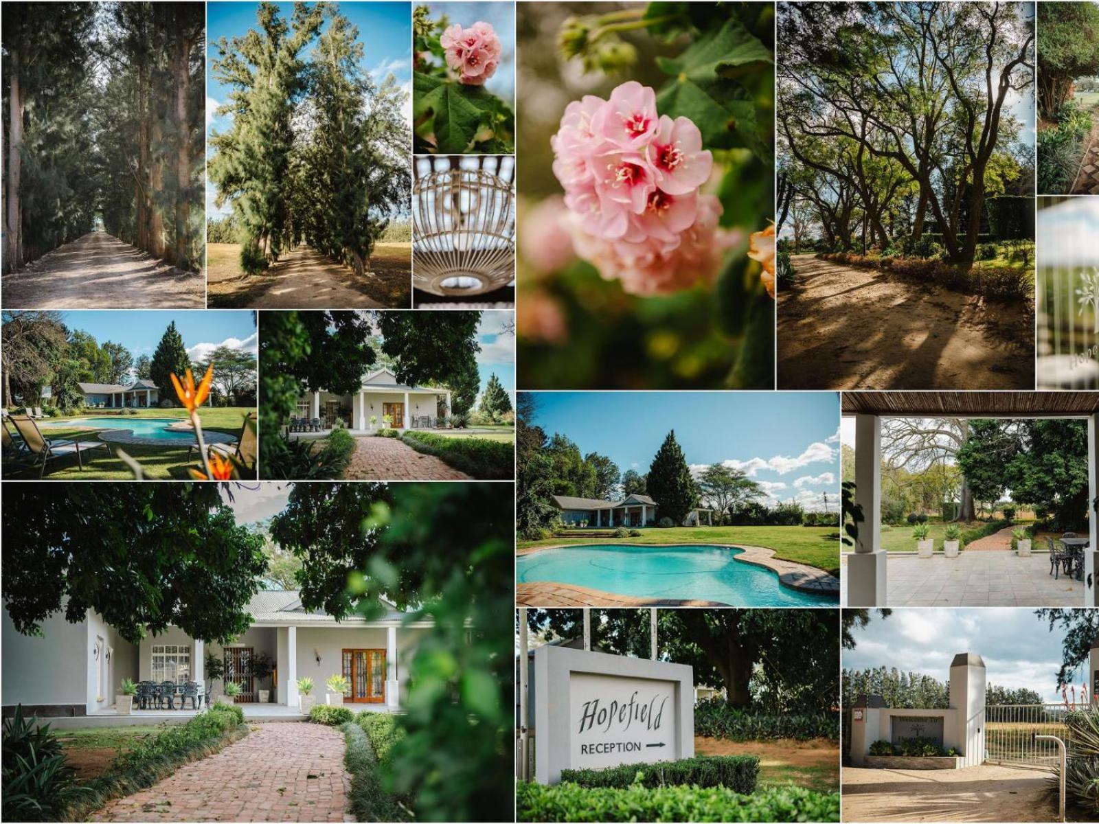 Hopefield Guesthouse-Addo Εξωτερικό φωτογραφία