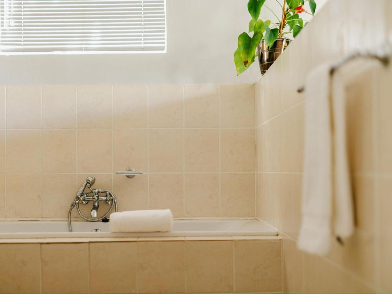 Hopefield Guesthouse-Addo Δωμάτιο φωτογραφία
